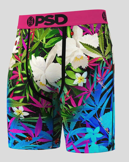Men PSD 6 Pack - Tropics - Standard Length