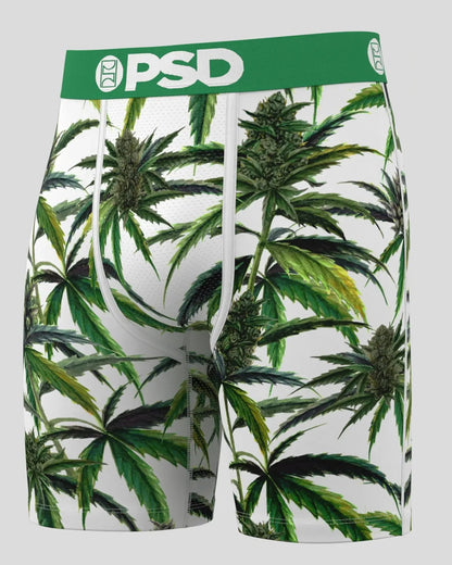 Men|Sale PSD Buds & Bloom - Standard Length