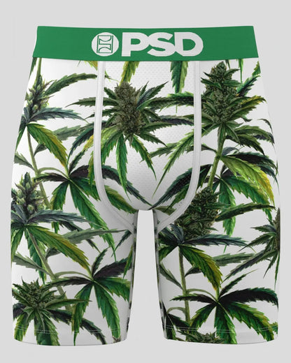 Men|Sale PSD Buds & Bloom - Standard Length