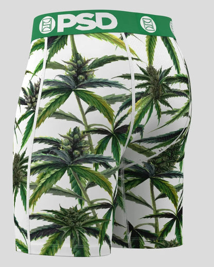 Men|Sale PSD Buds & Bloom - Standard Length