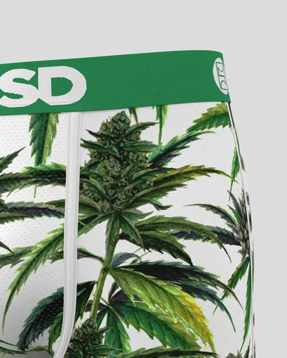 Men|Sale PSD Buds & Bloom - Standard Length